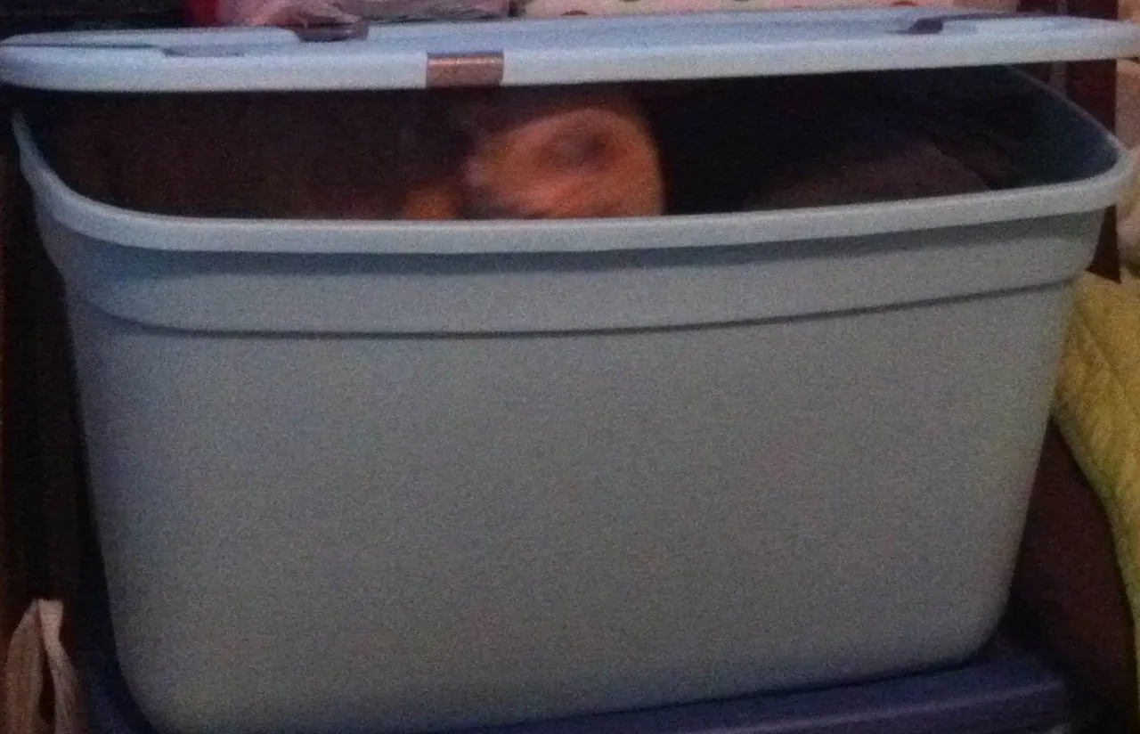 Peek-a-boo Lucky
