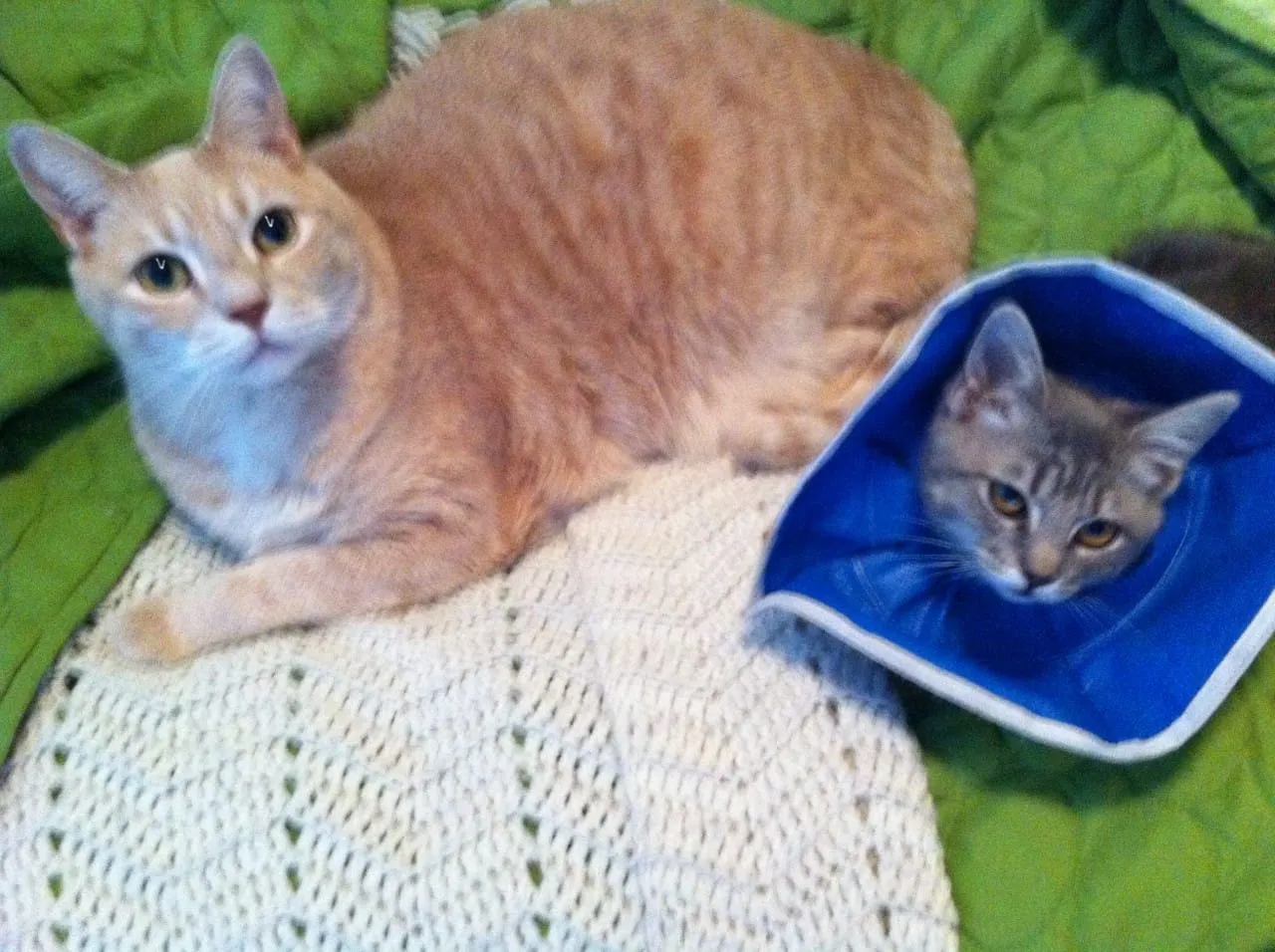Lucky and Mabel as Baby