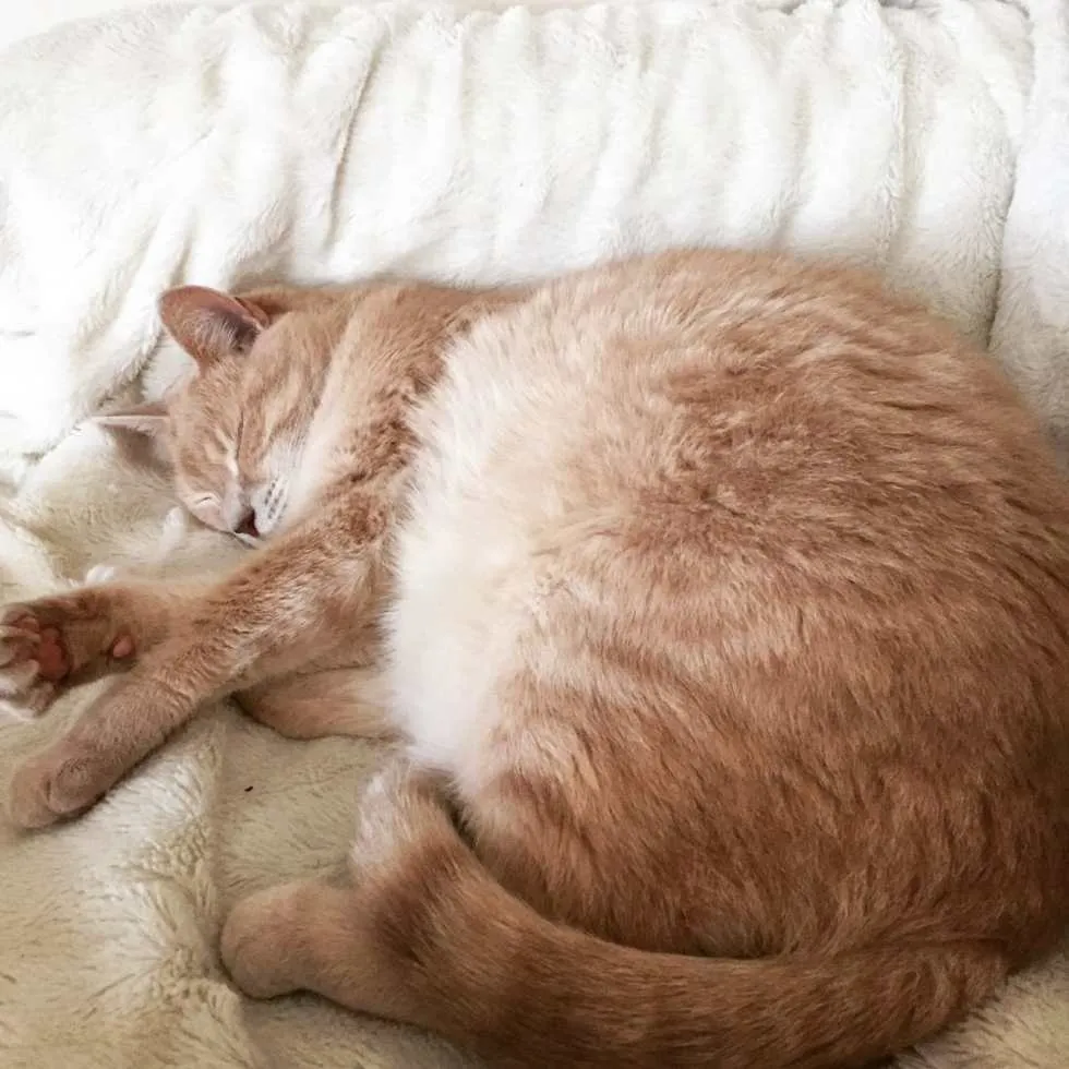 Hibernating Lucky