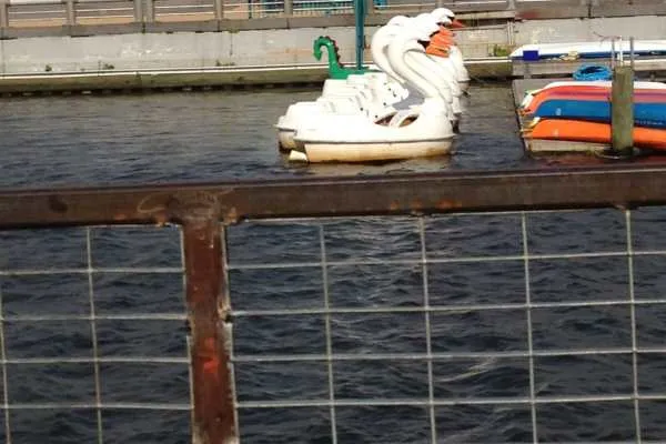 Spruce Street Harbor Park
