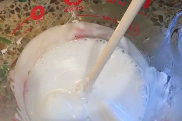 DIY 2 Ingredient Milk & Honey Soap Tutorial by