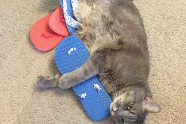DIY Flip Flops Tutorial by