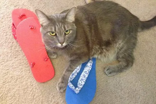 DIY Flip Flops Tutorial by