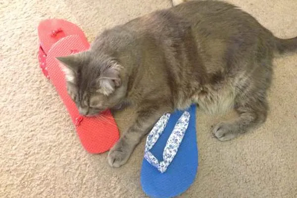 DIY Flip Flops Tutorial by