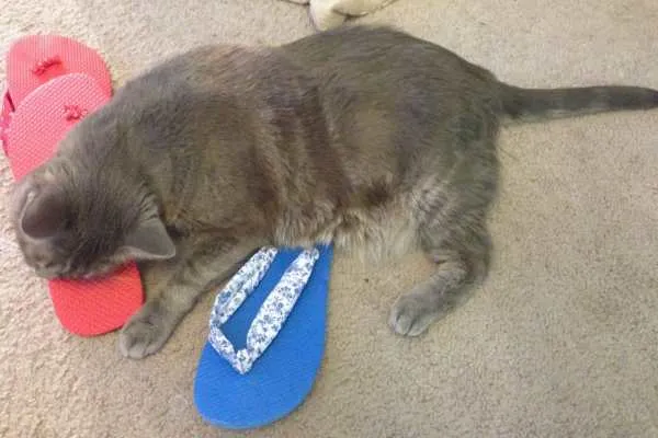 DIY Flip Flops Tutorial by