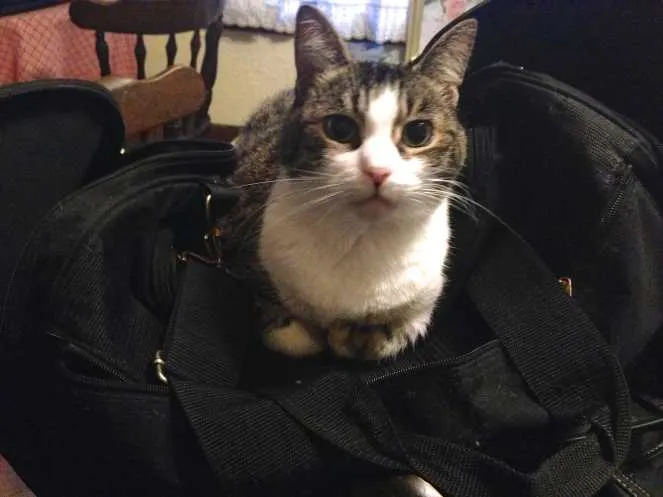 Take Me With You