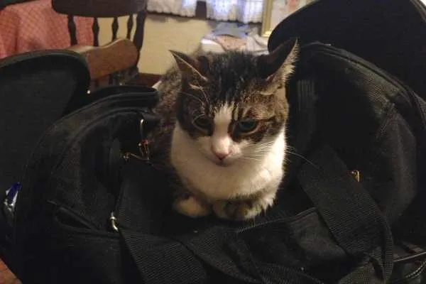 Take Me With You