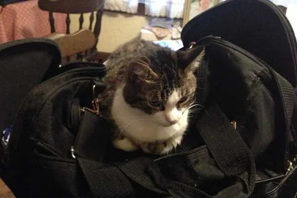 Take Me With You