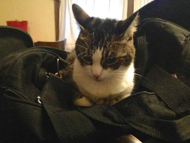 Take Me With You