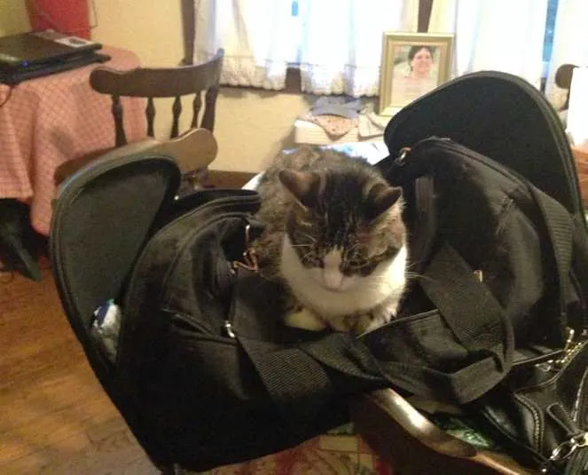Take Me With You