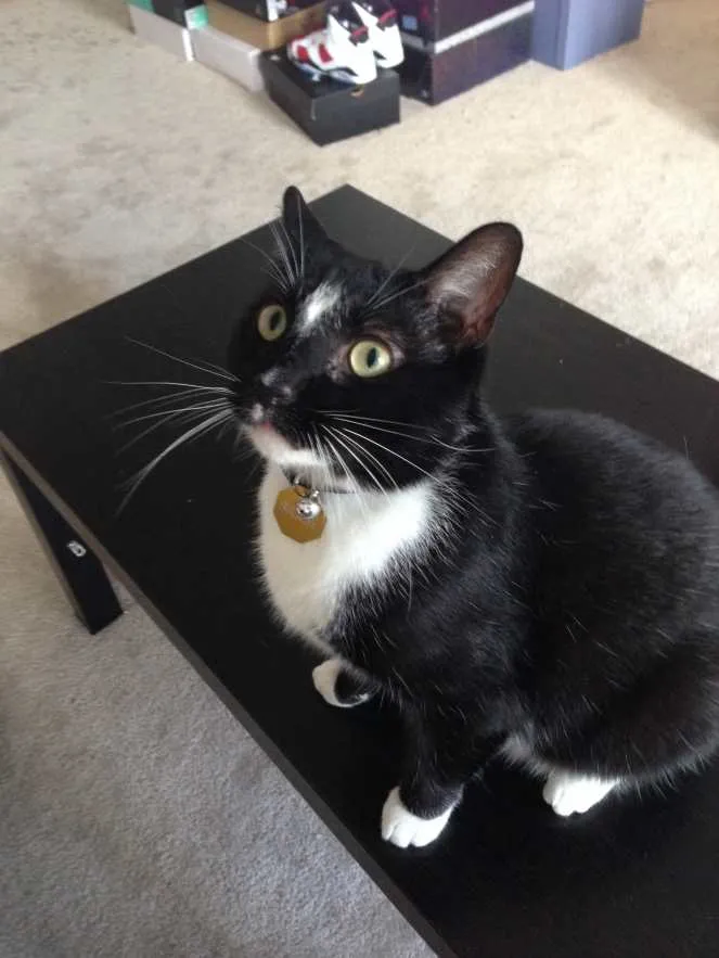 Biggie Posing