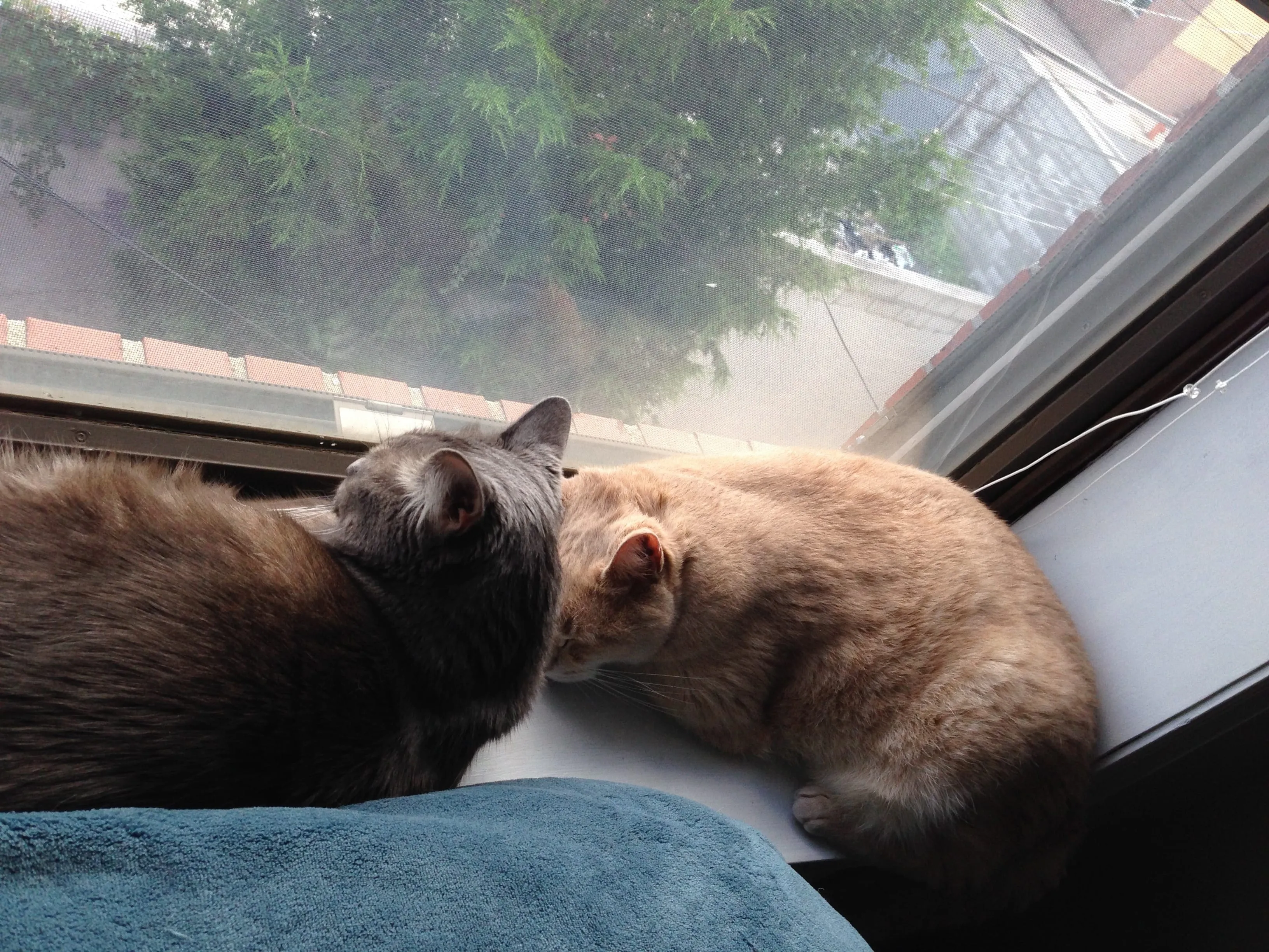 Besties