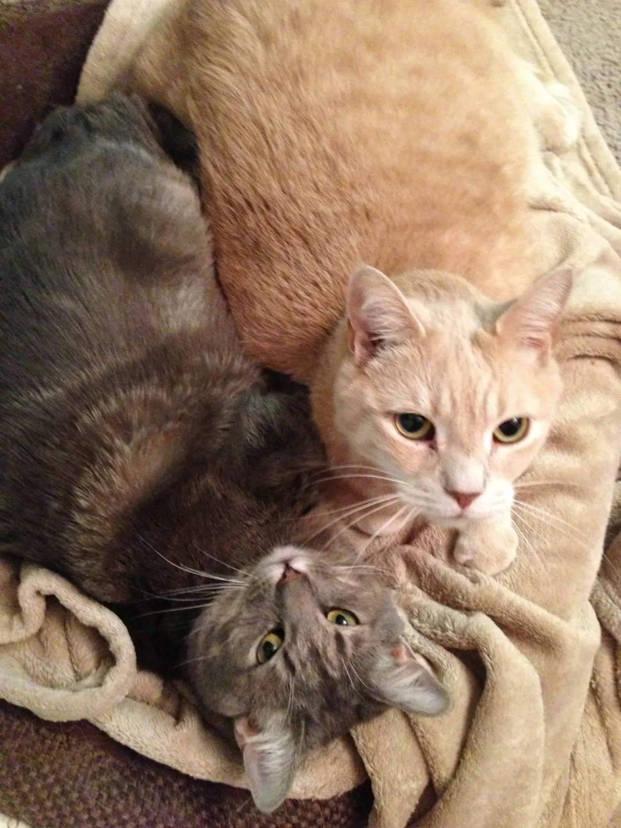 Lucky and Mabel