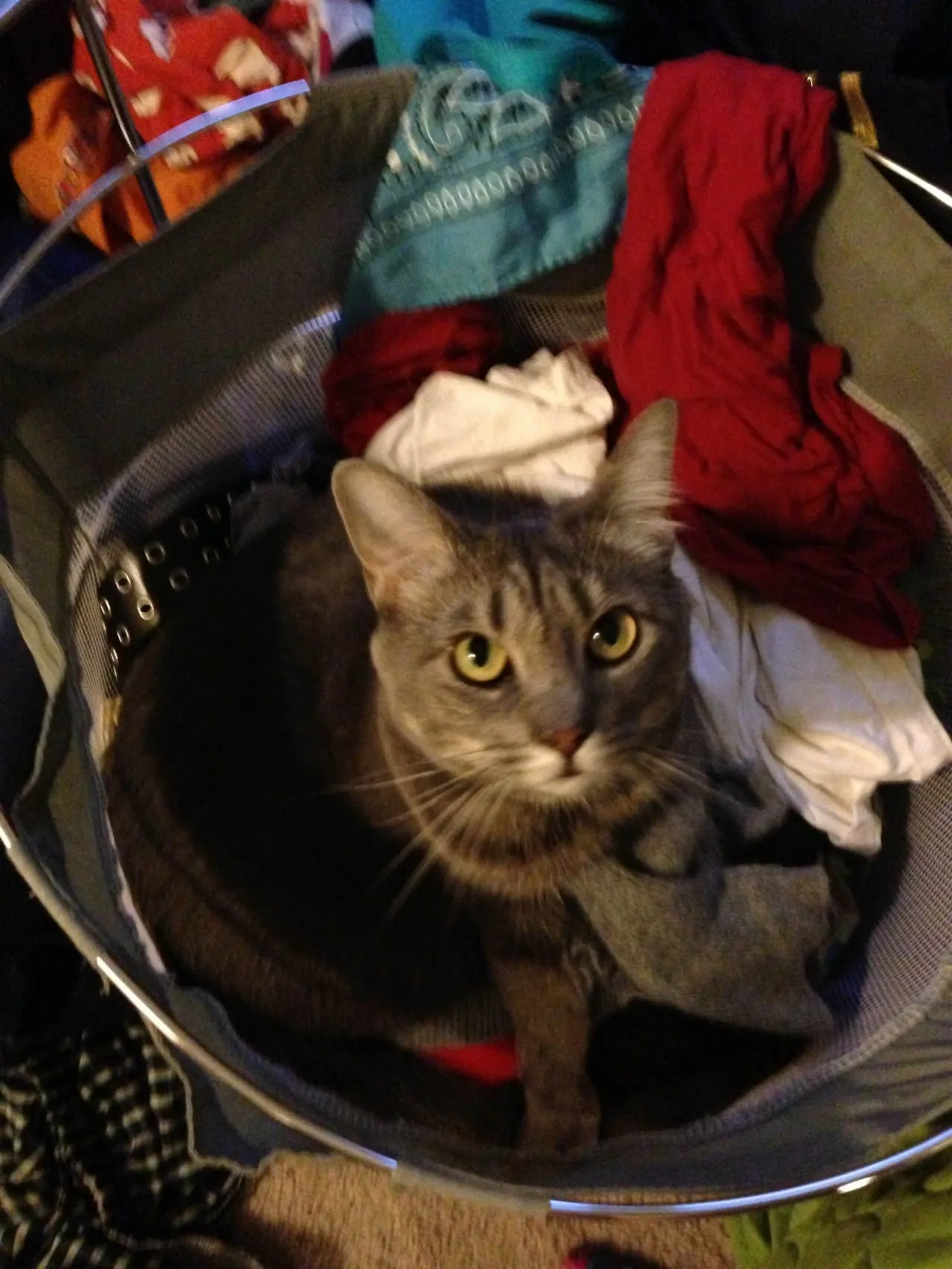 Laundry Day