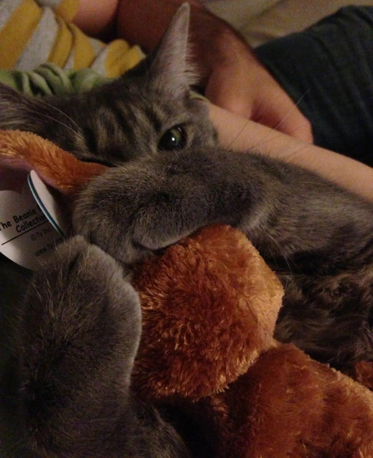 Peanut loves her Bunny!