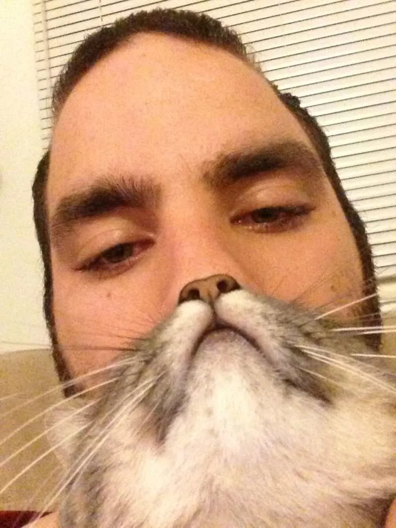 Sean is a cat?