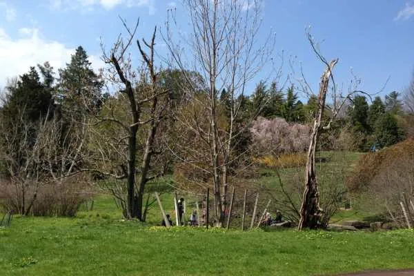 Morris Arboretum: Home Tweet Home