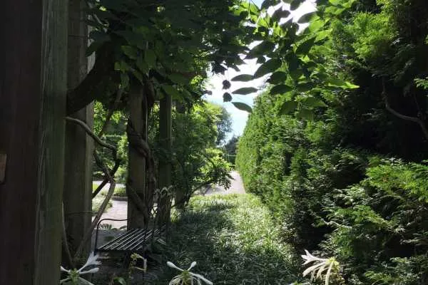Longwood Gardens Photo Recap! by