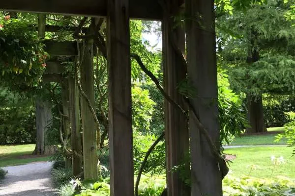 Longwood Gardens Photo Recap! by