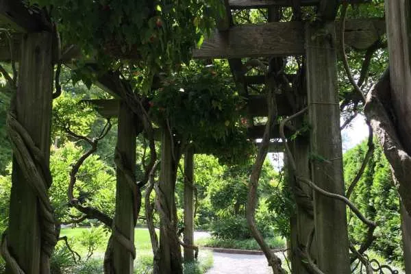 Longwood Gardens Photo Recap! by