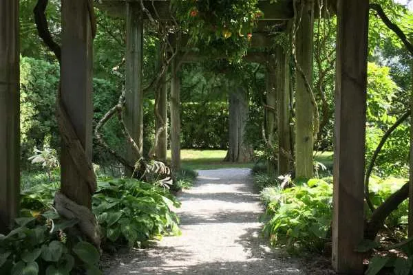 Longwood Gardens Photo Recap! by