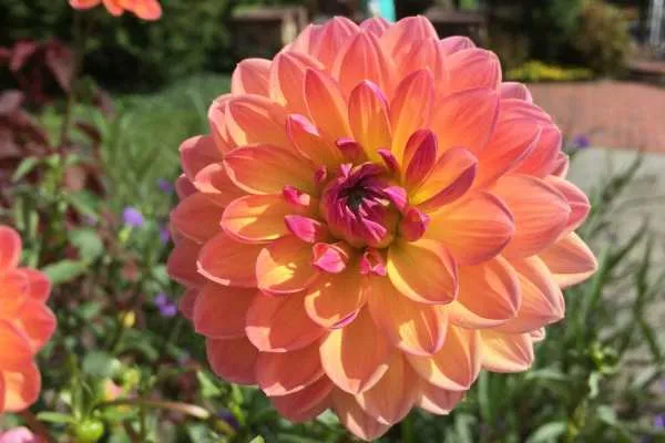 Longwood Gardens Photo Recap! by