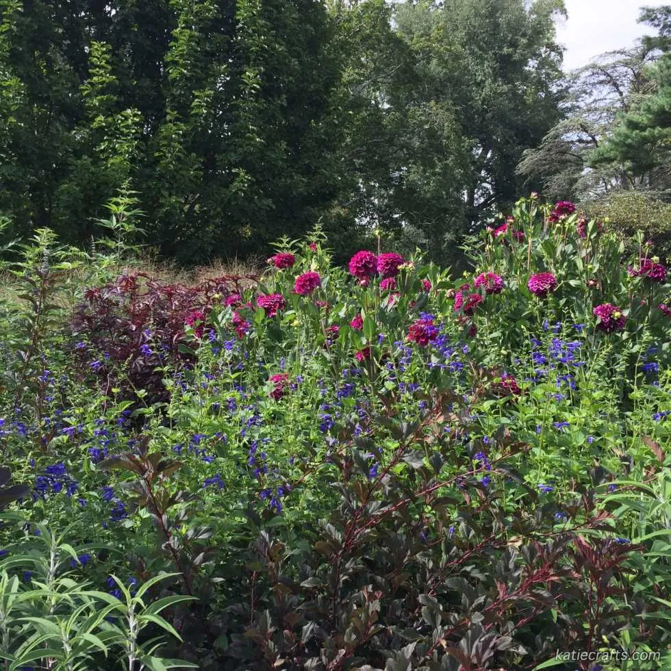 Longwood Gardens Photo Recap! by