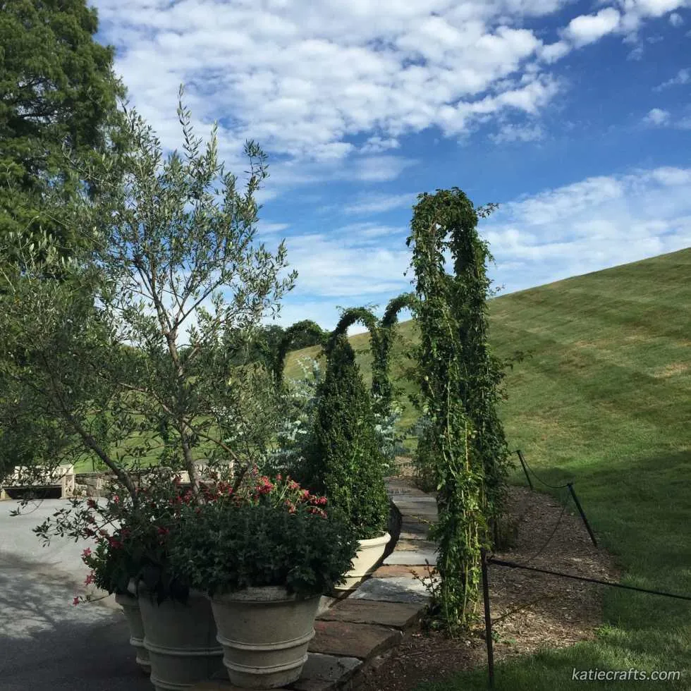 Longwood Gardens Photo Recap! by