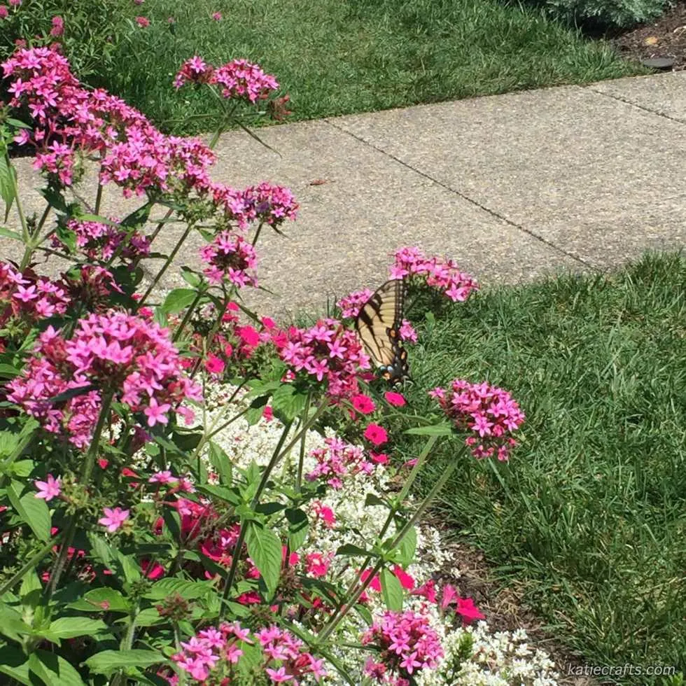 Longwood Gardens Photo Recap! by