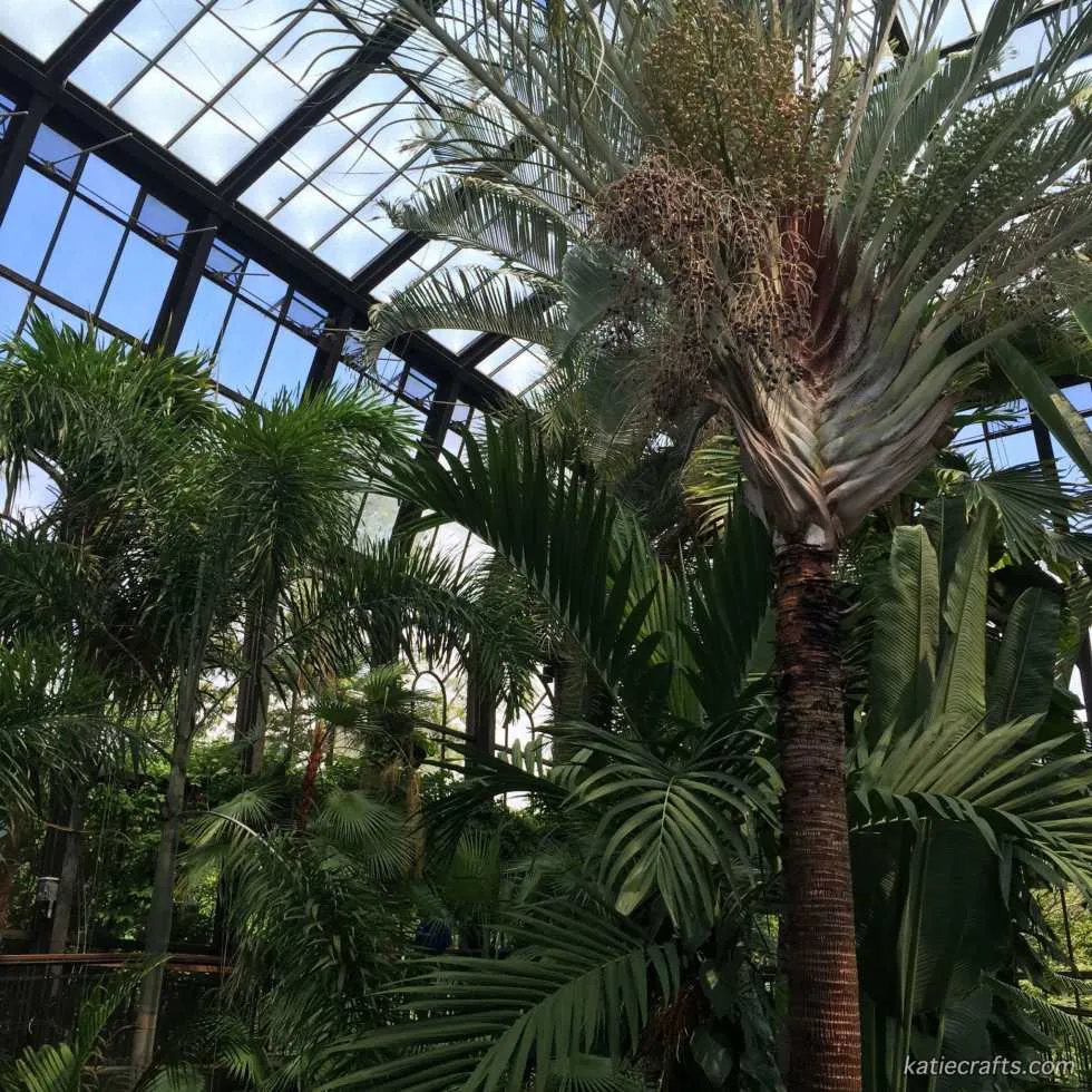 Longwood Gardens Photo Recap! by