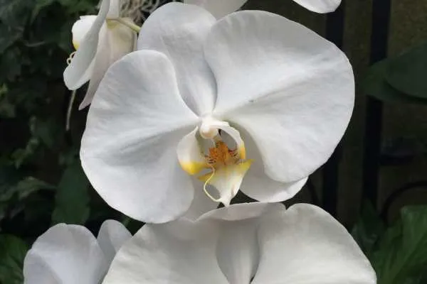 Longwood Gardens Photo Recap! by