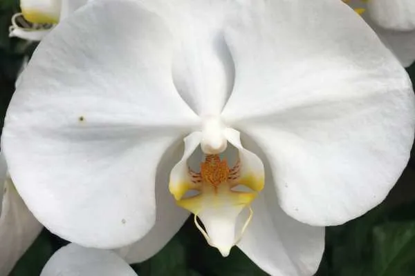 Longwood Gardens Photo Recap! by
