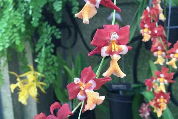 Longwood Gardens Photo Recap! by
