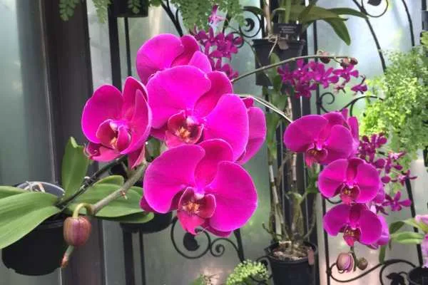 Longwood Gardens Photo Recap! by