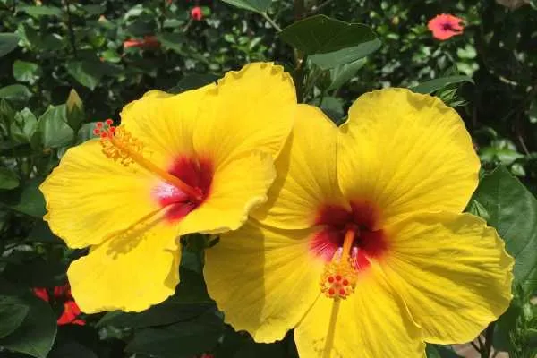 Longwood Gardens Photo Recap! by