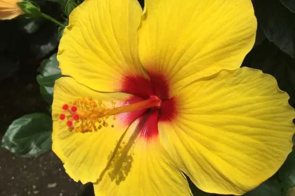 Longwood Gardens Photo Recap! by