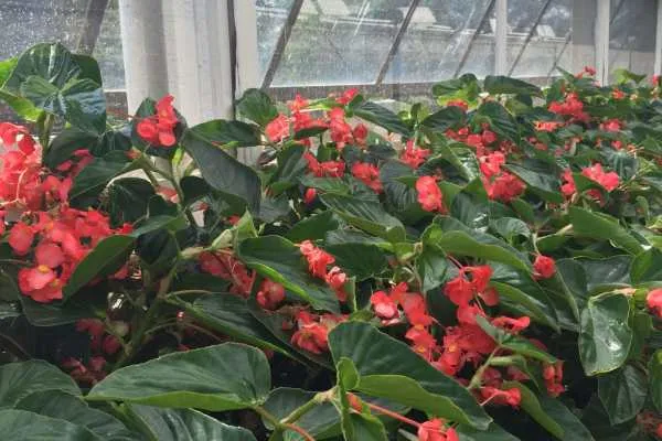 Longwood Gardens Photo Recap! by