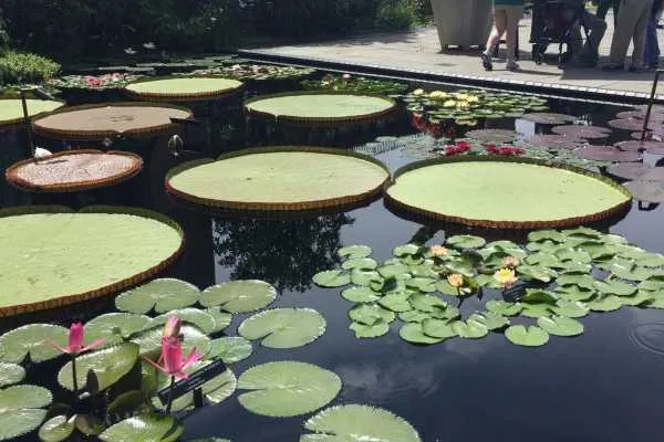 Longwood Gardens Photo Recap! by