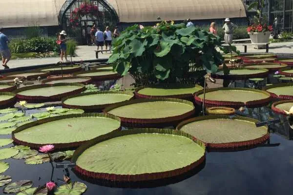 Longwood Gardens Photo Recap! by
