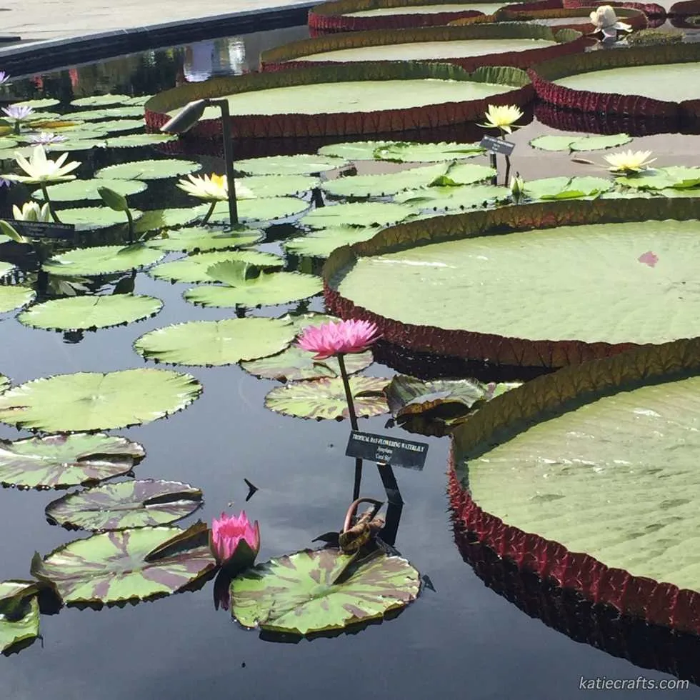 Longwood Gardens Photo Recap! by