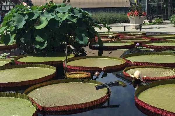 Longwood Gardens Photo Recap! by