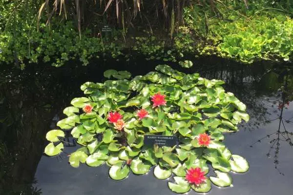 Longwood Gardens Photo Recap! by