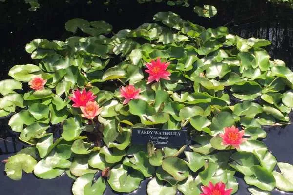 Longwood Gardens Photo Recap! by