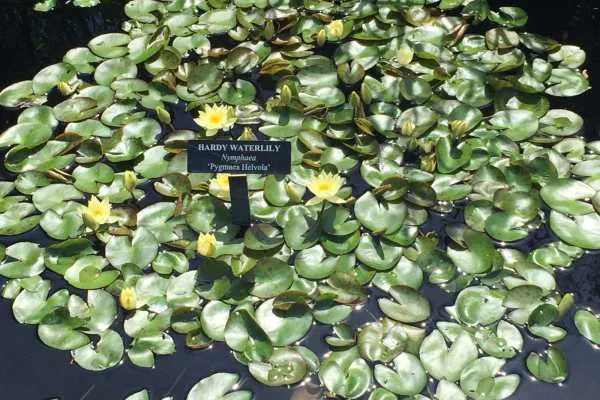 Longwood Gardens Photo Recap! by