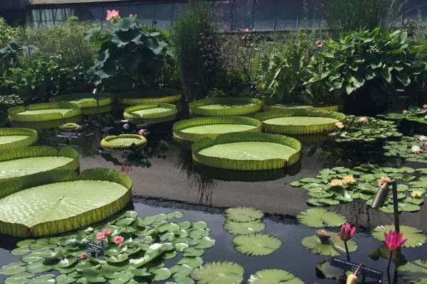 Longwood Gardens Photo Recap! by