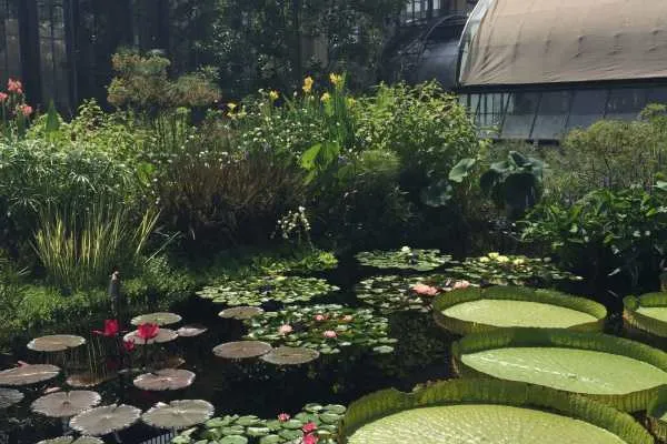 Longwood Gardens Photo Recap! by