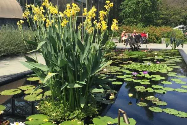 Longwood Gardens Photo Recap! by