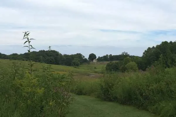 Longwood Gardens Photo Recap! by