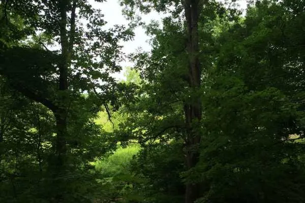Longwood Gardens Photo Recap! by