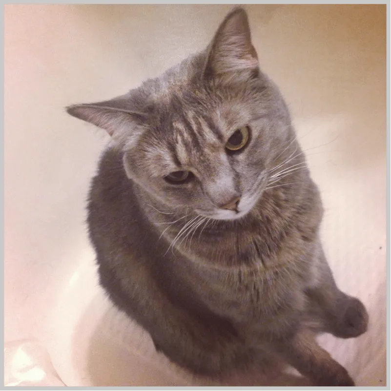 Mabel in Bathtub